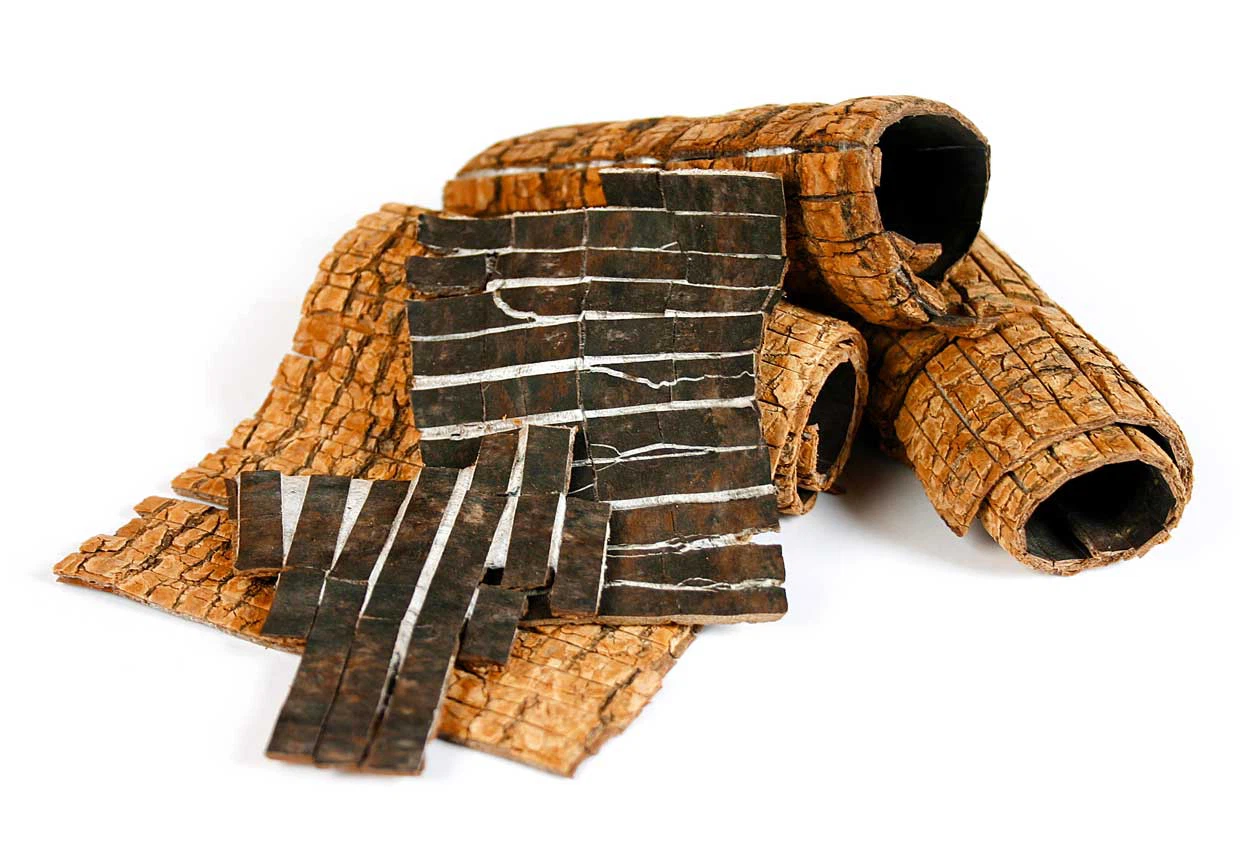 eucommia-bark-prepared