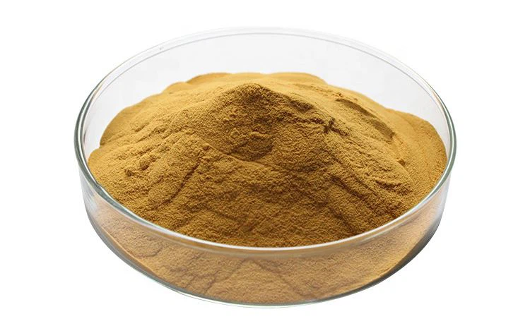 Eucommia Bark Extract powder