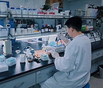 Great quality ensured Great quality ensured