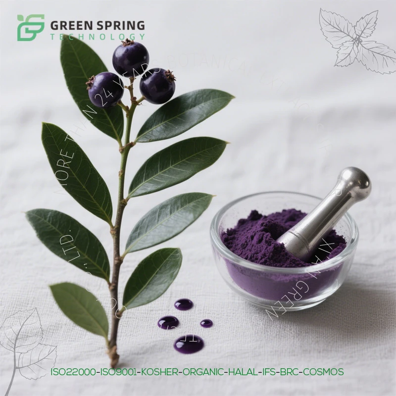 Acai 베리 추출물 가루