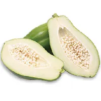 Green Papaya Powder Green Papaya Powder