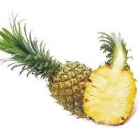 Pineapple Powder Pineapple Powder