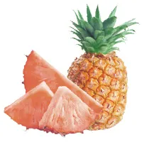 Organic Pineapple Powde Organic Pineapple Powde