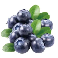 Blueberry Powder Blueberry Powder