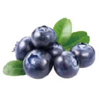 Organic Blueberry Powder Organic Blueberry Powder