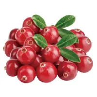 Cranberry Powder Cranberry Powder