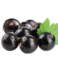 Acai Berry Powder Acai Berry Powder