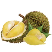 Durian Powder (musang King) Durian Powder (musang King)