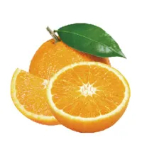 Orange Powder Orange Powder