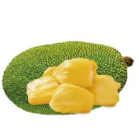 JACKFRUIT POWDER JACKFRUIT POWDER