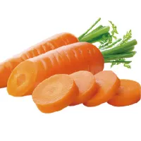 CARROT POWDER CARROT POWDER