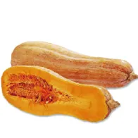 Pumpkin Powder Pumpkin Powder