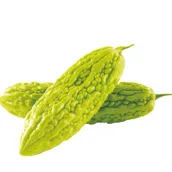 Bitter Melon Powder Bitter Melon Powder