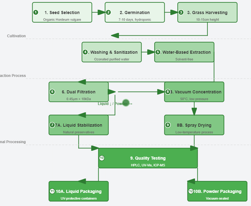 Barley Grass Extract Production Process Barley Grass Extract Production Process