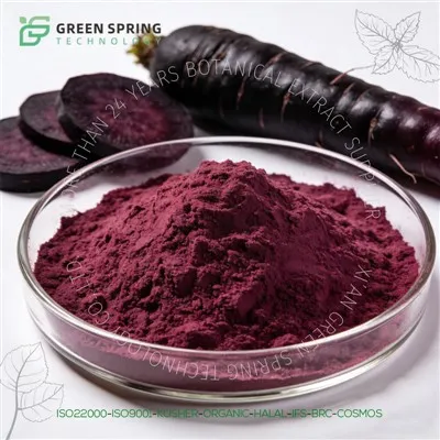 검은 당근 가루